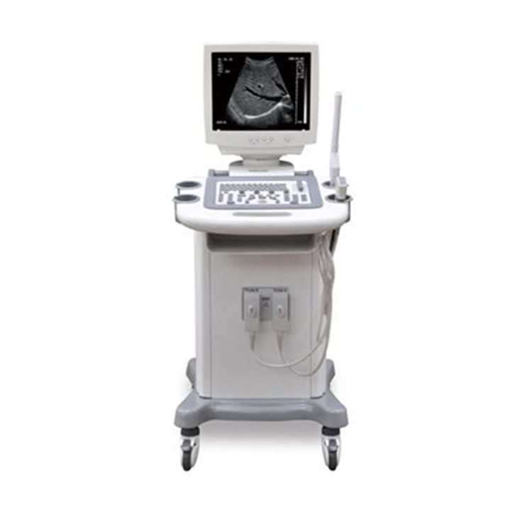 Ultrasound